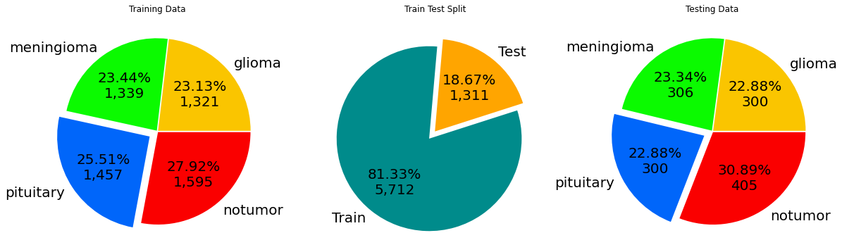 Class distribution and train/test split for the Brain Tumor MRI dataset